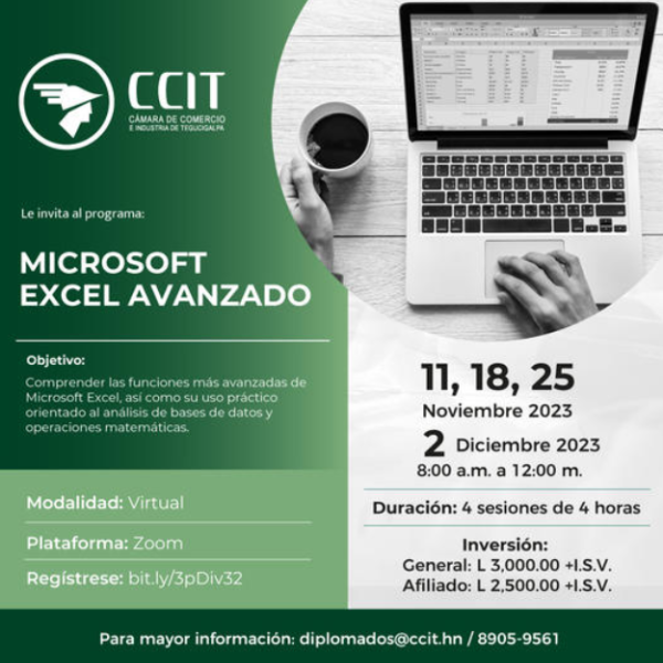 Programa: Microsoft Excel Avanzado 