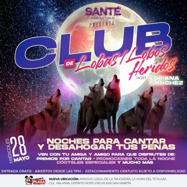 Noche de lobas y lobos heridos 