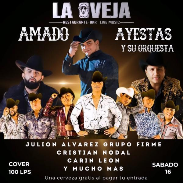 Noche de Tributo imperdible con Amado Ayestas 